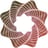 EvolutionaryScale Logo