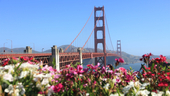 Photo: Shutterstock